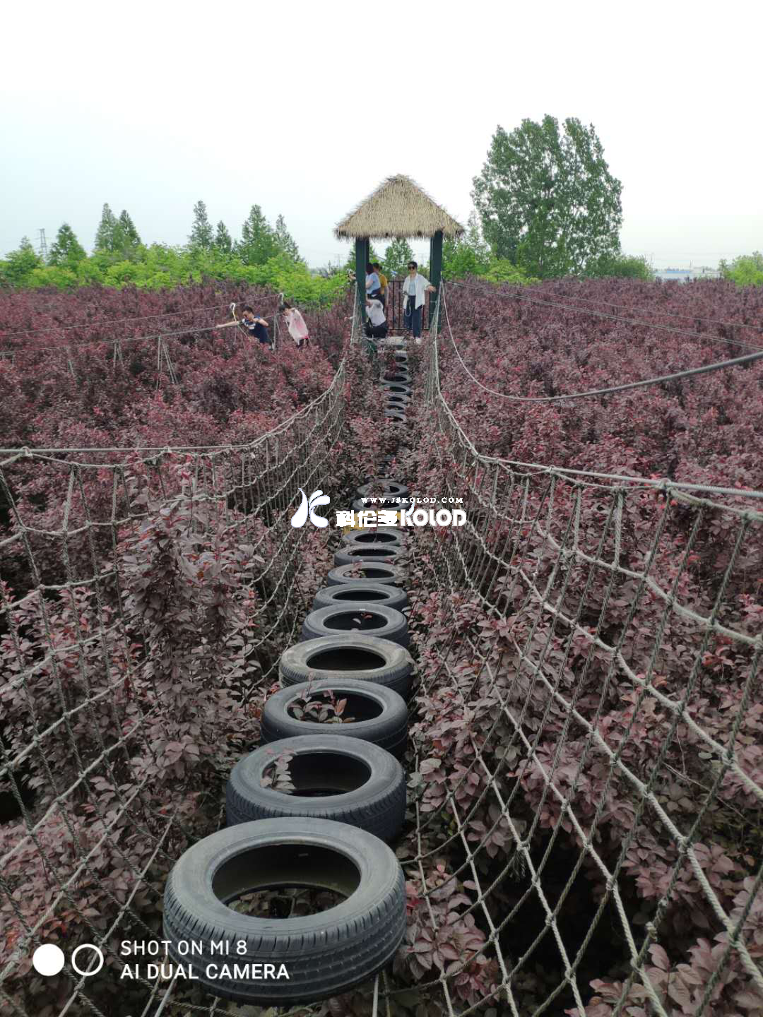 追求卓越團隊、鑄造優(yōu)秀團隊、共創(chuàng)企業(yè)輝煌 （江蘇科倫多赴兆隆林海灣叢林樂園開展團建活動）